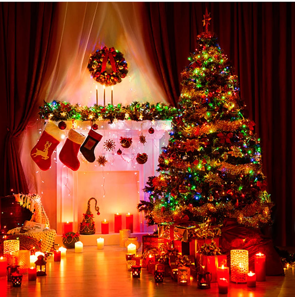 ✨ ES Holiday StarString™ – Ultra-Bright 24V Waterproof LED String Lights (IP65)