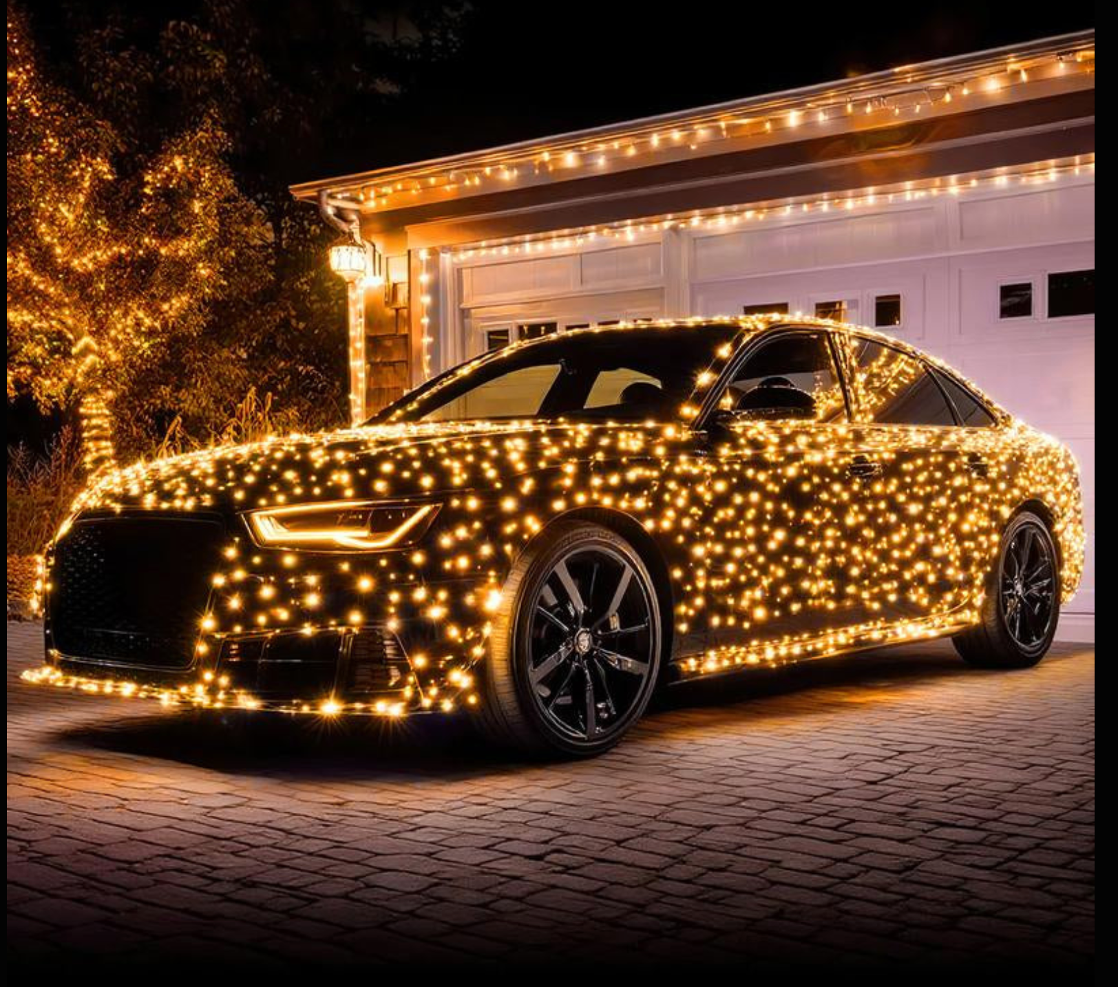 ✨ ES Holiday StarString™ – Ultra-Bright 24V Waterproof LED String Lights (IP65)