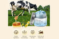 Renew Balm Copper Peptide Moisturizer